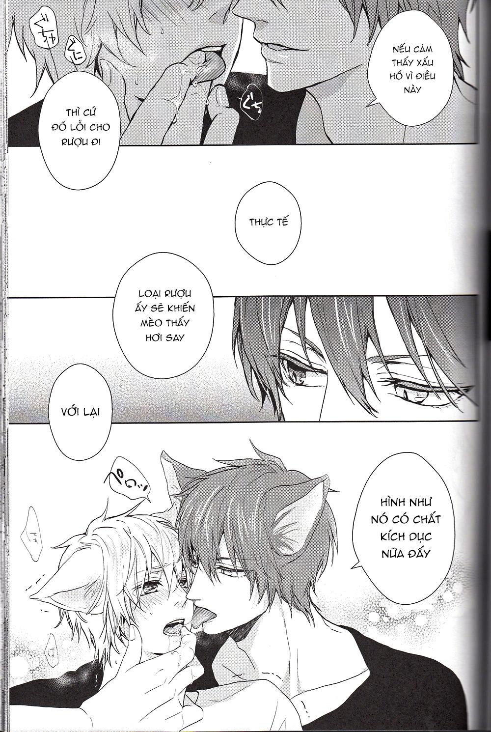 Đọc truyện Doujinshi của Kuroko no basket ball - Chapter 6