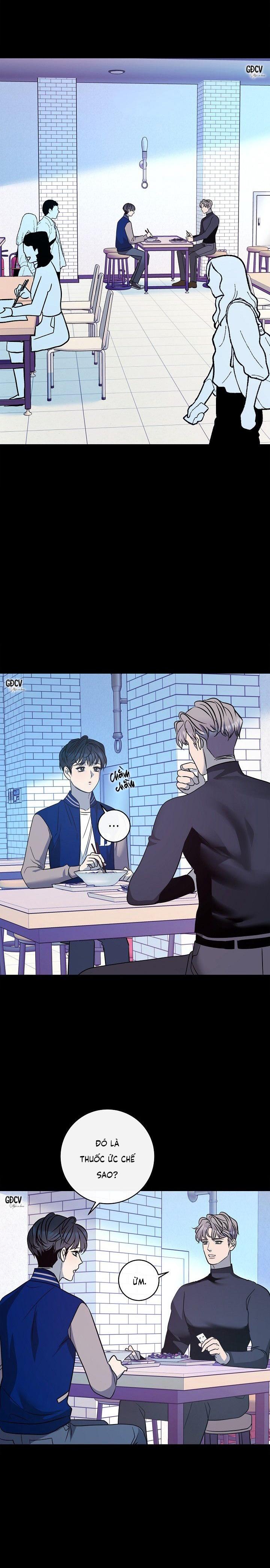 Đọc truyện NUÔI DƯỠNG BETA - Chapter 12