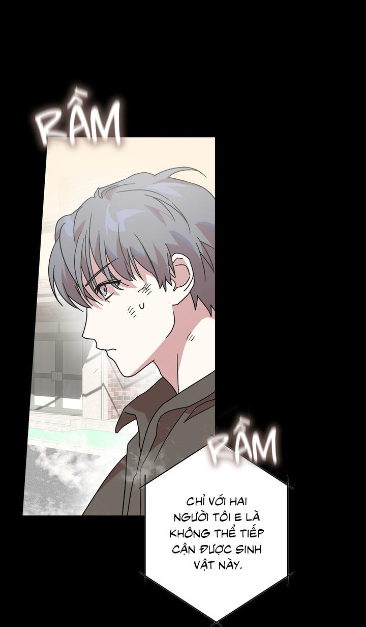 Đọc truyện XIN HÃY CHỐNG LƯNG CHO TÔI - Chapter 3