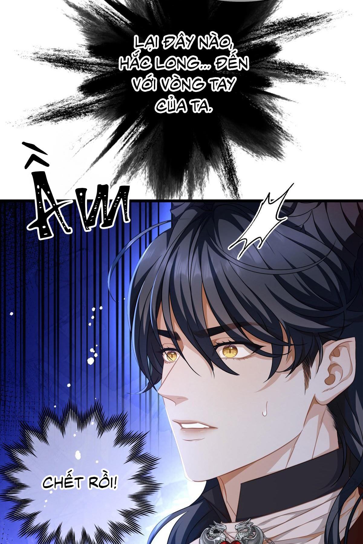 Đọc truyện Tôi trùng sinh thành chú rồng đen của vương tử điện hạ - Chapter 13