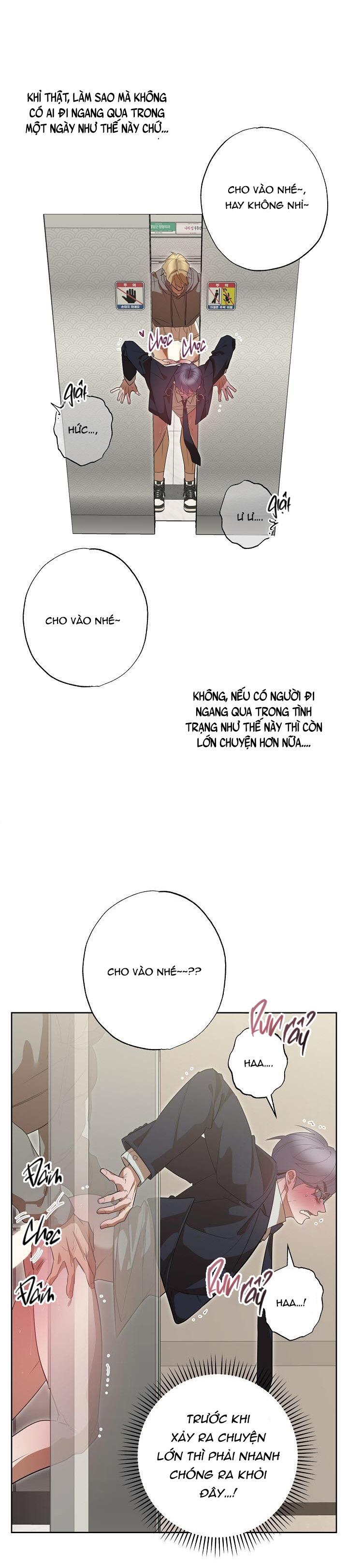 Đọc truyện Ăn Sạch Bố Ngỗng Nhà Bên - Chapter 8