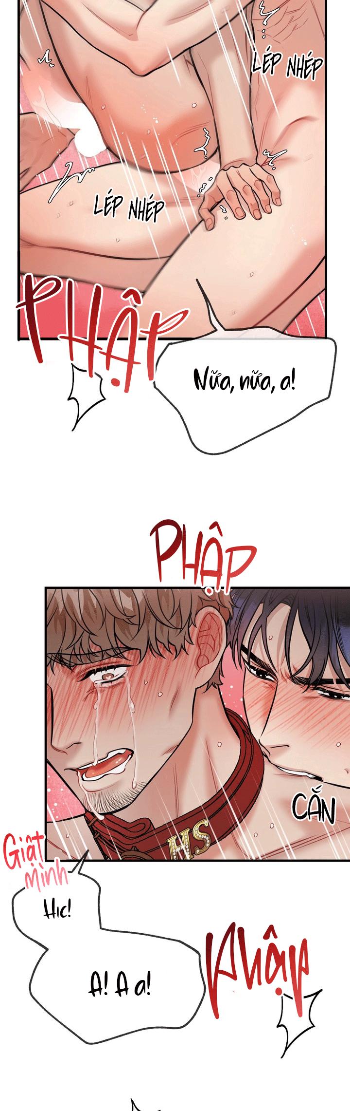 Đọc truyện HƯỚNG DẪN BDSM CƠ BẢN - Chapter 21