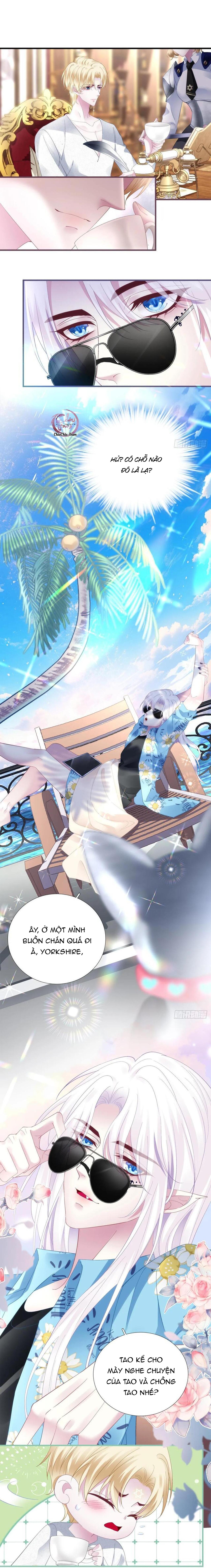 Đọc truyện Thánh Tâm không dễ chọc - Chapter 65