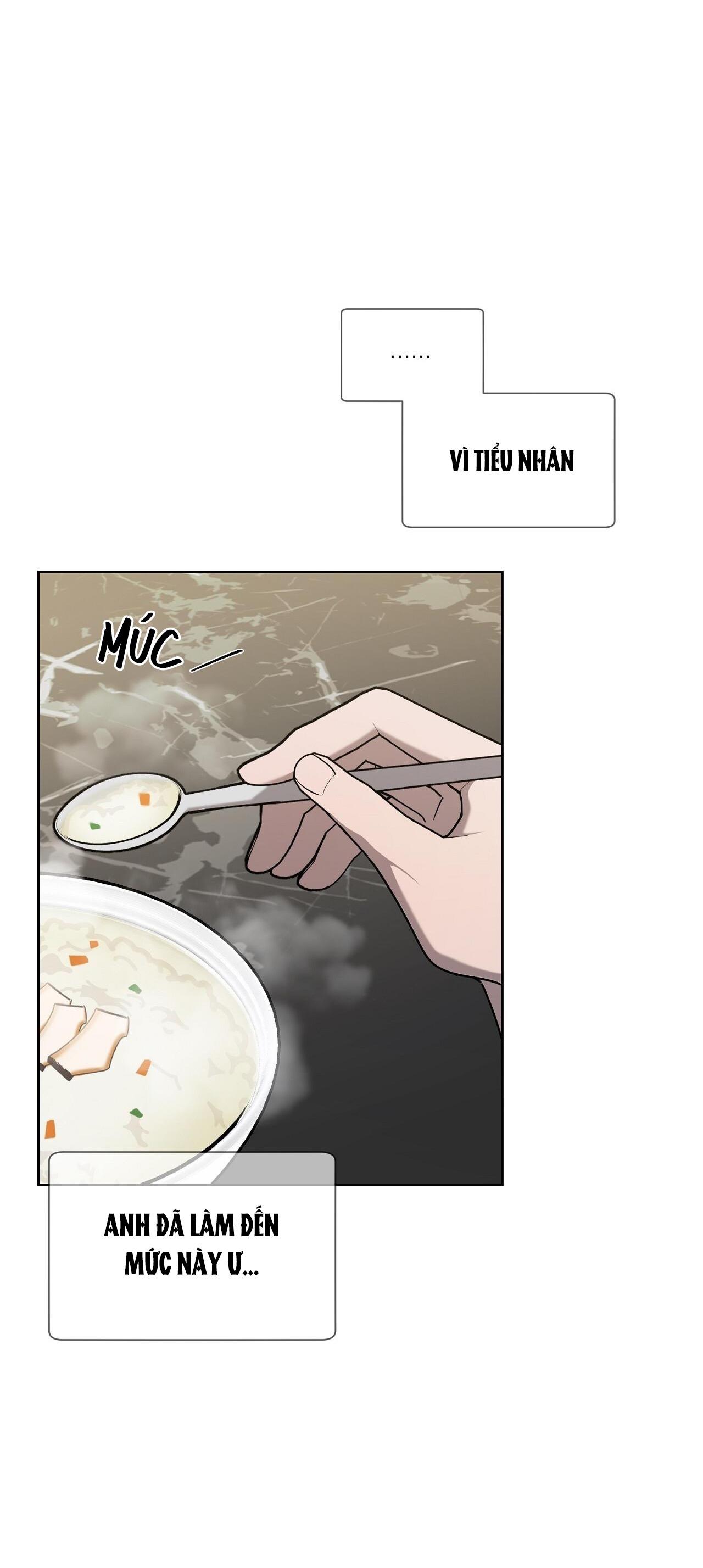 Đọc truyện KHI CHIM THƯỚC ĐẾN - Chapter 23