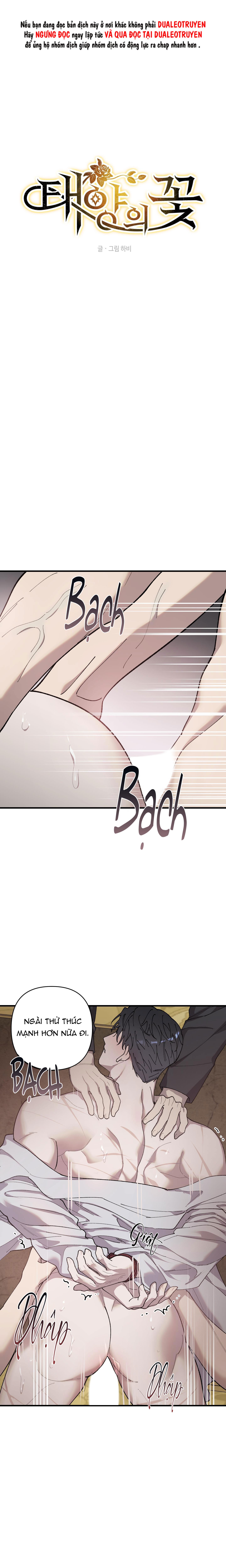 Đọc truyện Đóa hoa của mặt trời - Chapter 63