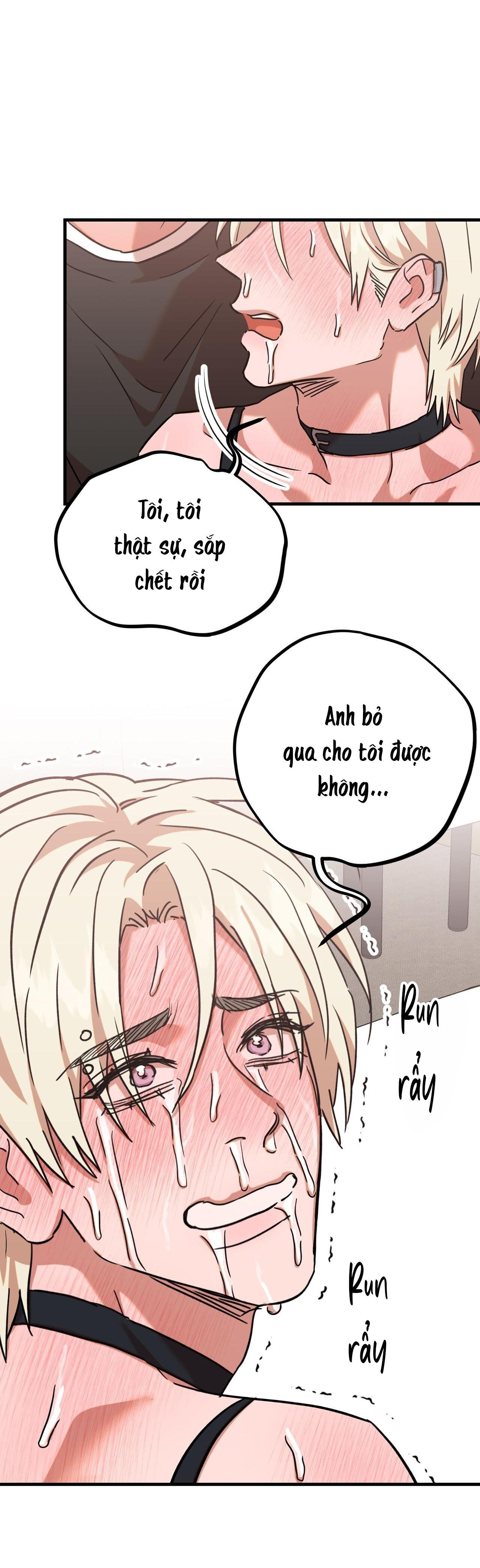 Đọc truyện BẮT TẠI TRẬN - Chapter 19