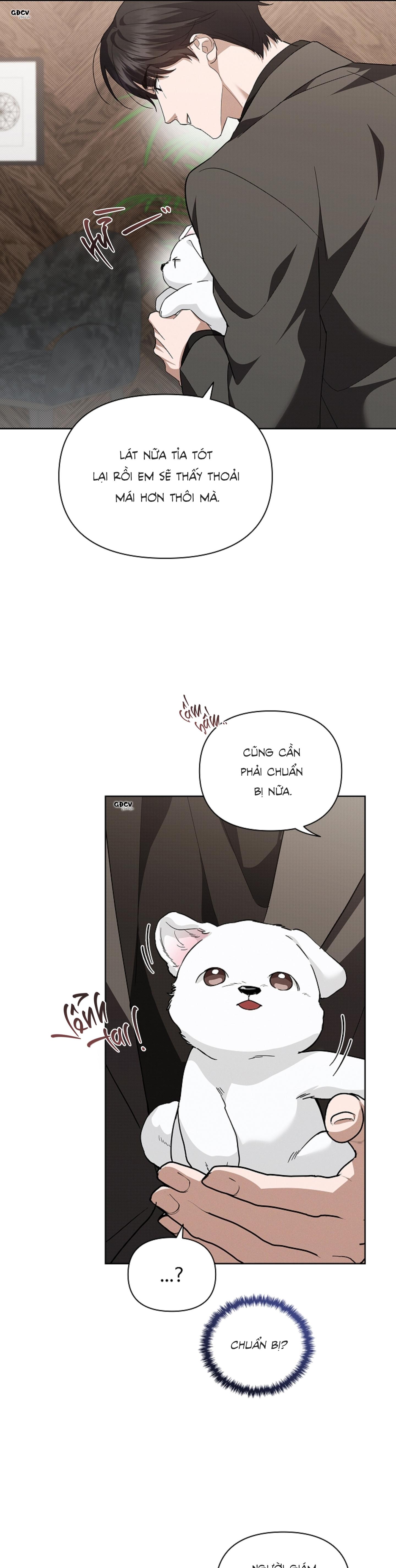 Đọc truyện ĐỪNG CHẠM VÀO CÚN CON CỦA TÔI - Chapter 28