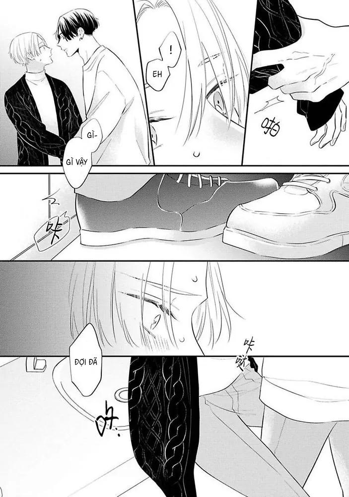 Đọc truyện Sức Hút Khó Cưỡng - Chapter 2