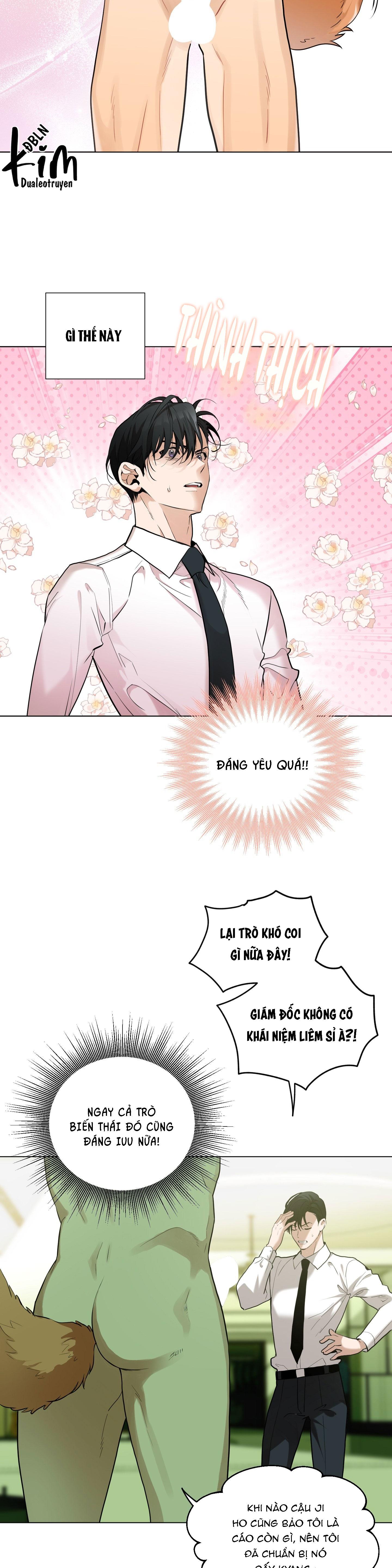 Đọc truyện TÌNH YÊU LÔNG CHÓ - Chapter 10