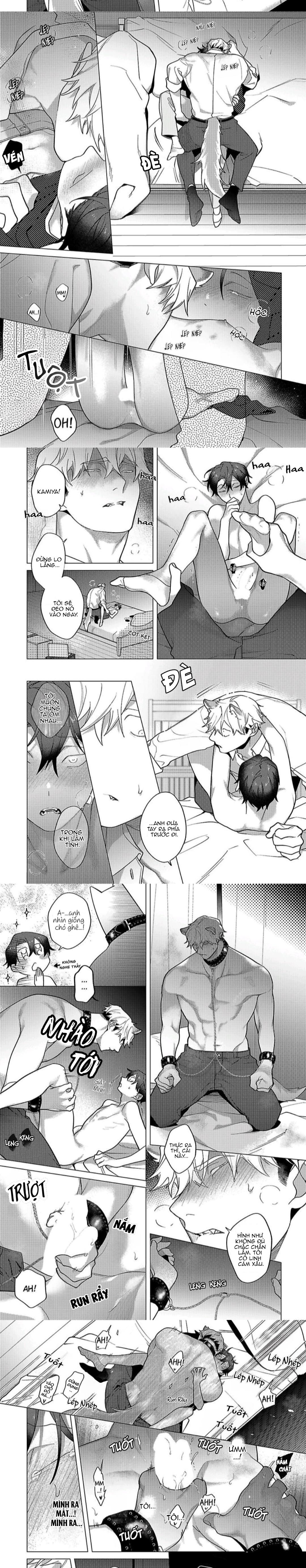 Đọc truyện Nghiền nát tôi và dạy tôi về tình yêu - Chapter 10