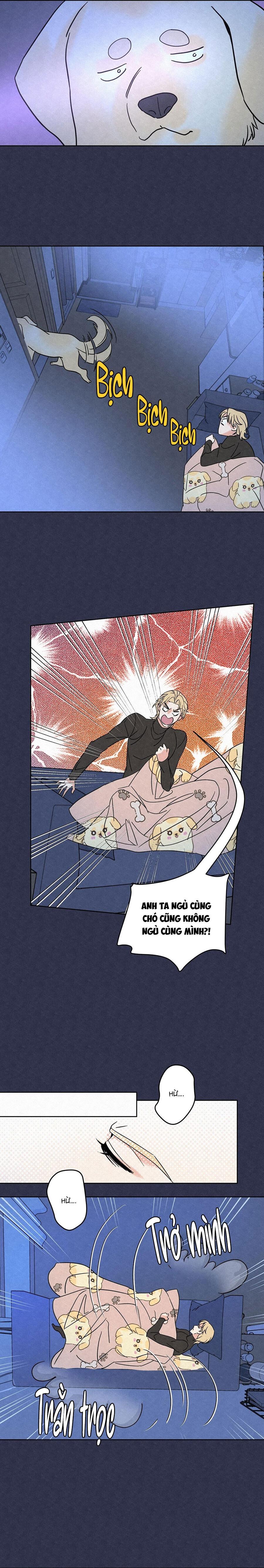 Đọc truyện Anh Trai Rẻ Tiền Của Tôi (END) - Chapter 5