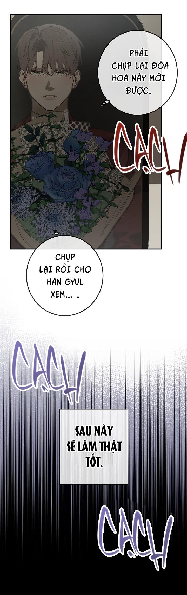 Đọc truyện BẢO VẬT - Chapter 29