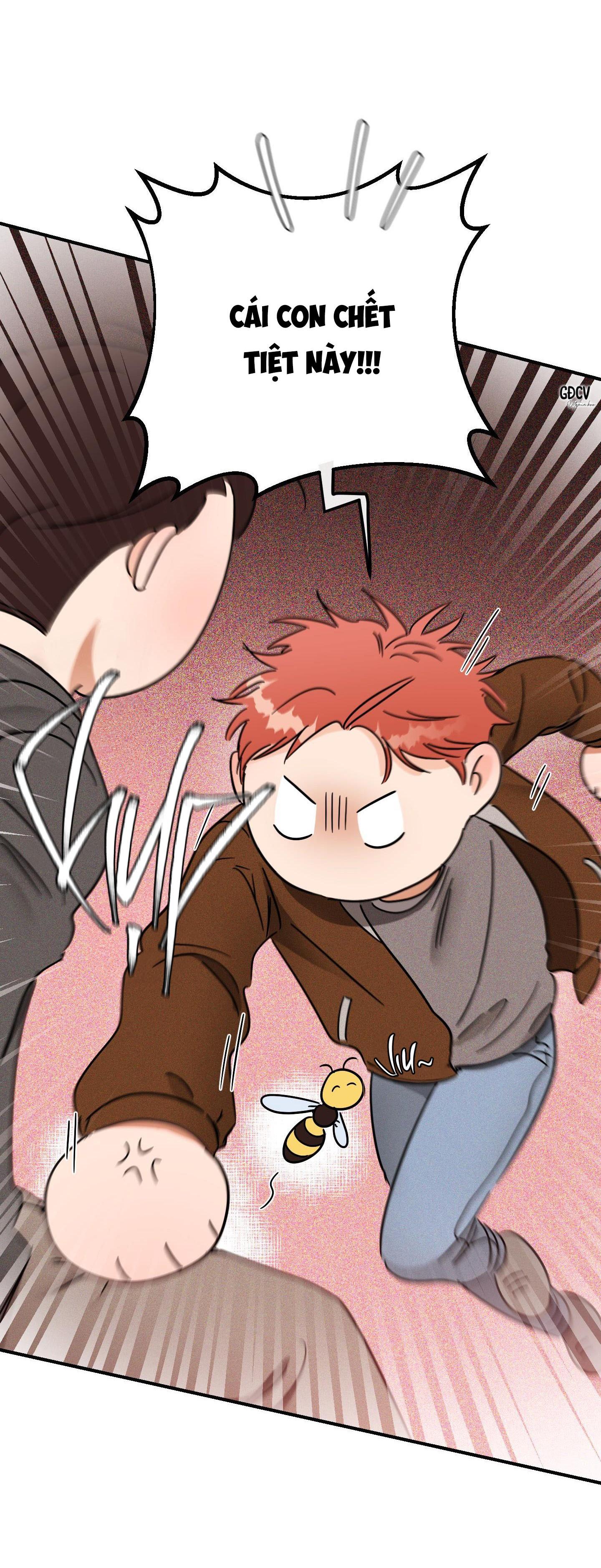 Đọc truyện CÁ MINH THÁI KHÔ QUẮT RỒI! - Chapter 37