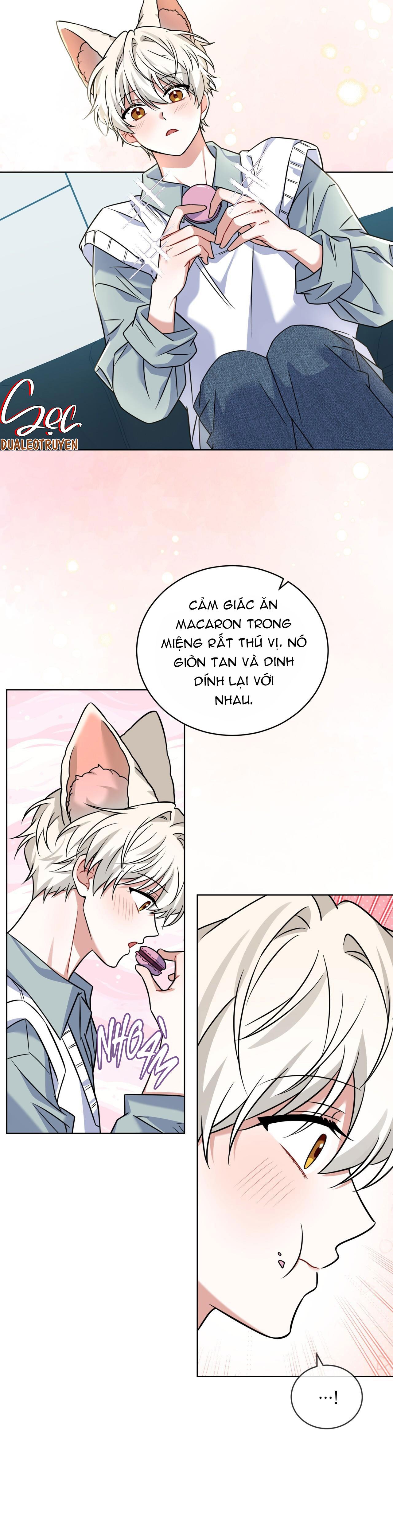 Đọc truyện NƯỚC UỐNG TÌNH YÊU CỦA CÁO PLIN - Chapter 18