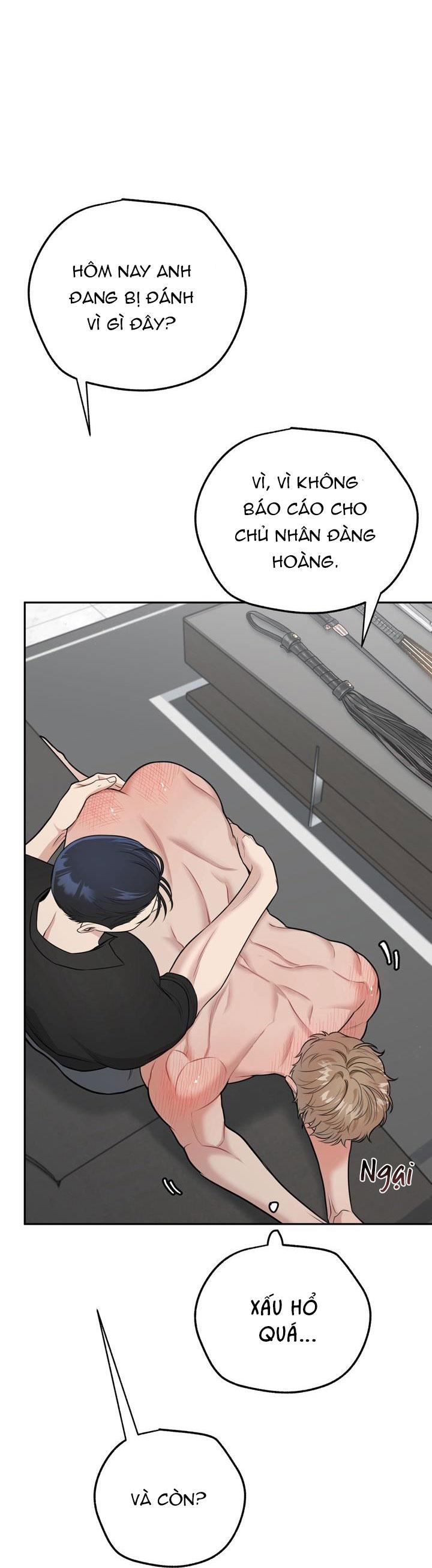 Đọc truyện HƯỚNG DẪN BDSM CƠ BẢN - Chapter 7