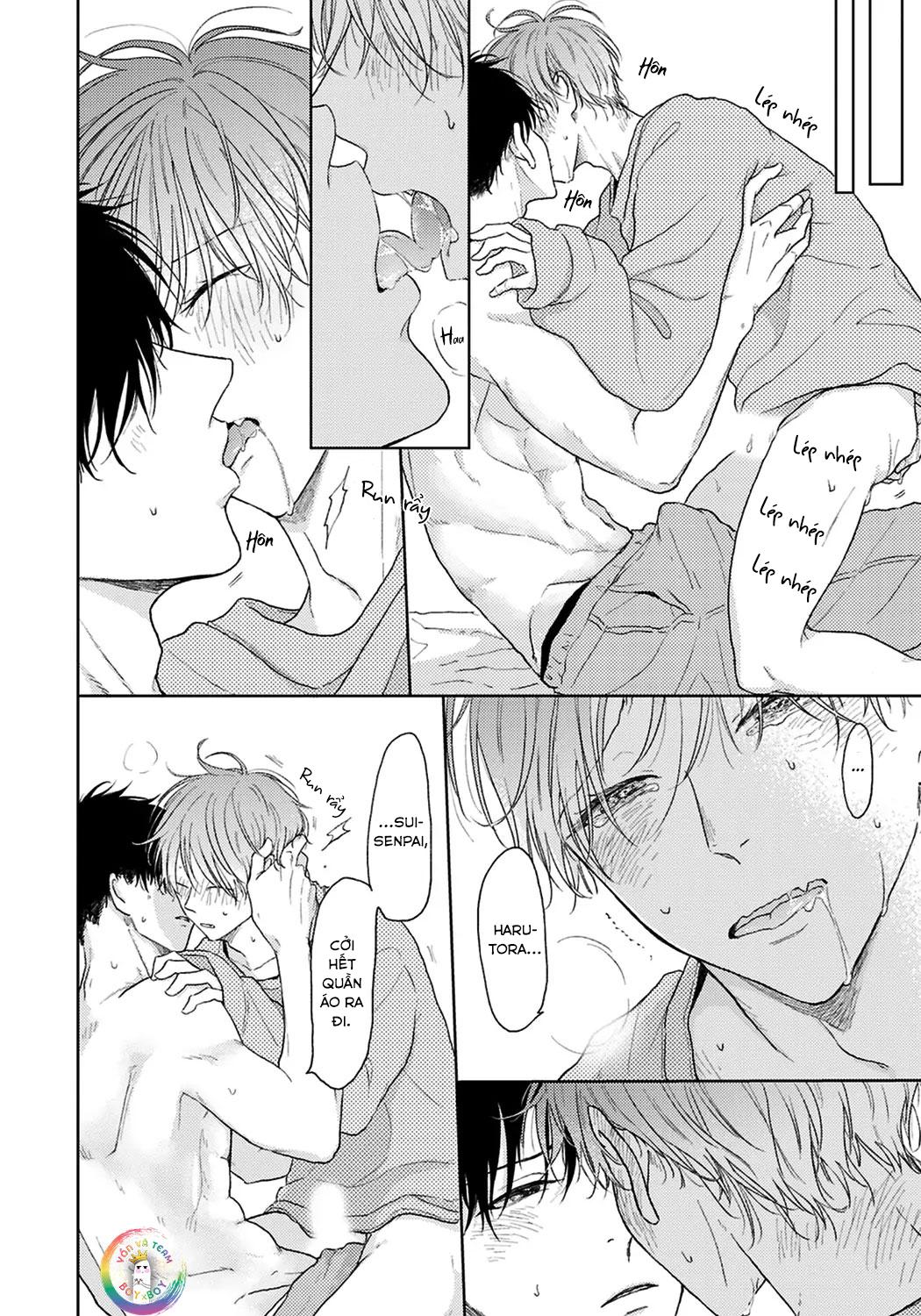 Đọc truyện Đợi Chút Đã, Harutora-kun (END) - Chapter 4.5