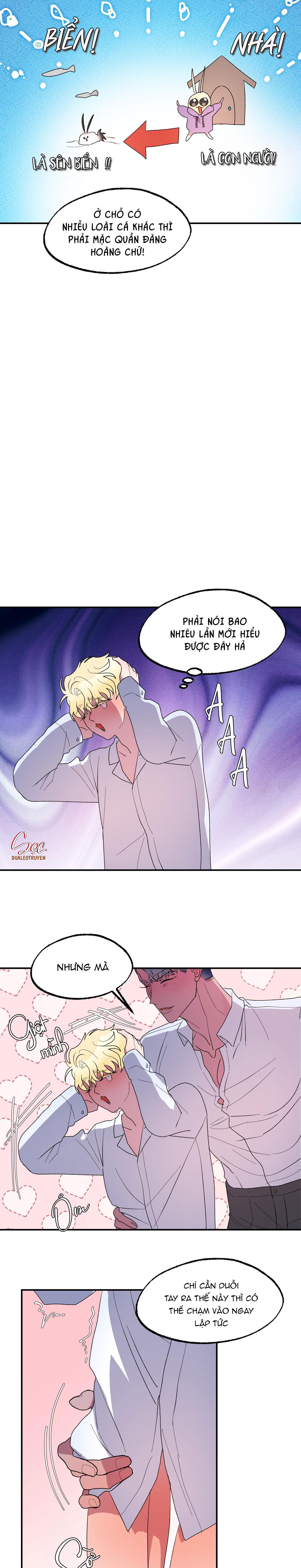 Đọc truyện CÁ MẬP VÀ CÔ DÂU THỎ - Chapter 22