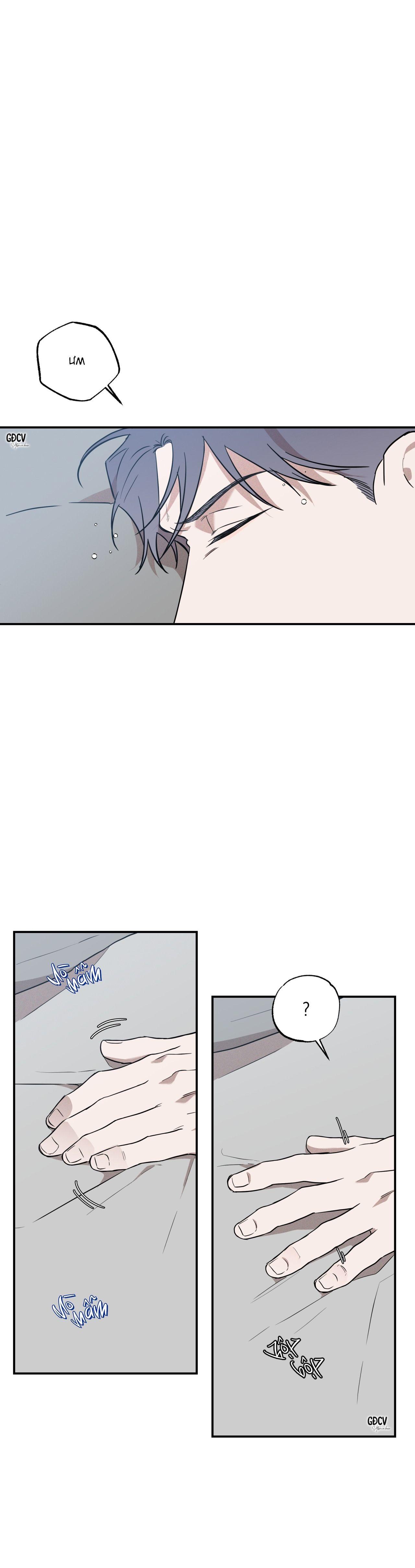 Đọc truyện ANH RỂ - Chapter 4