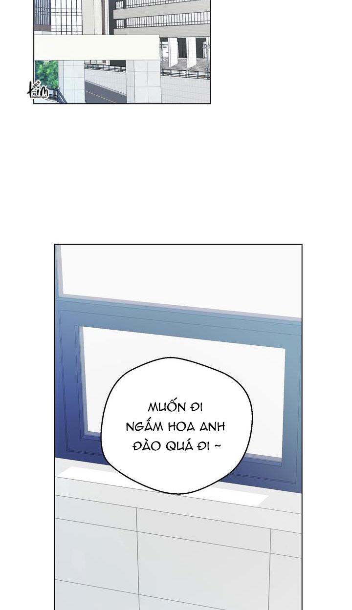 Đọc truyện BÁNH QUY TÌNH YÊU TAN CHẢY - Chapter 11