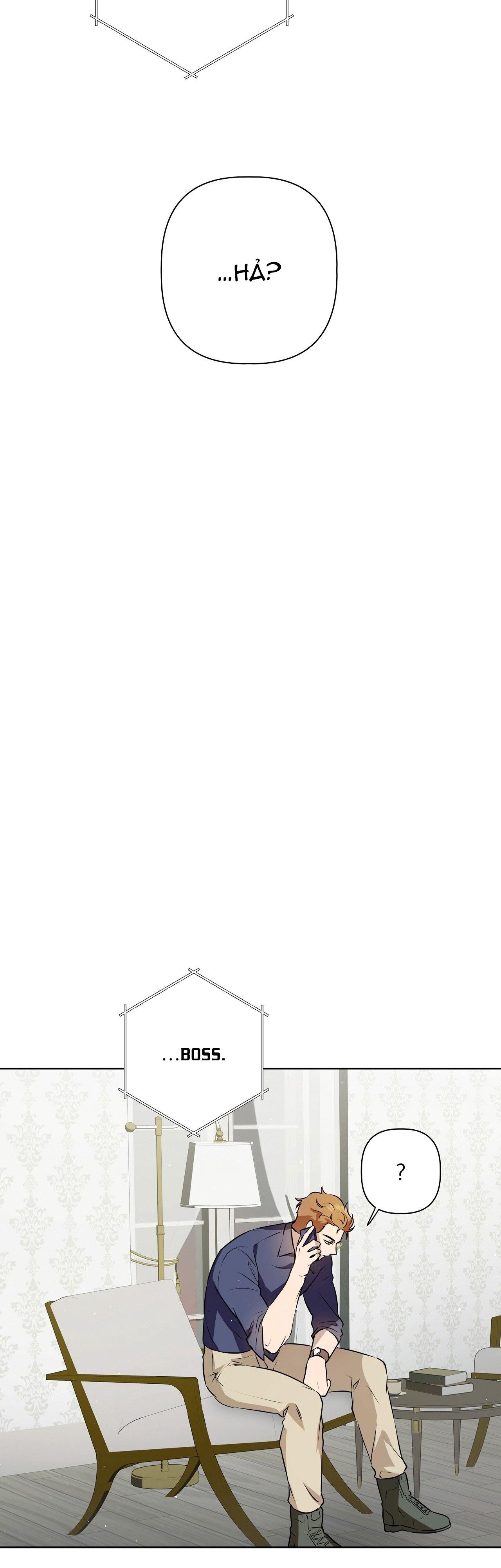 Đọc truyện OMEGA HOÀN HẢO CỦA TÔI - Chapter 4