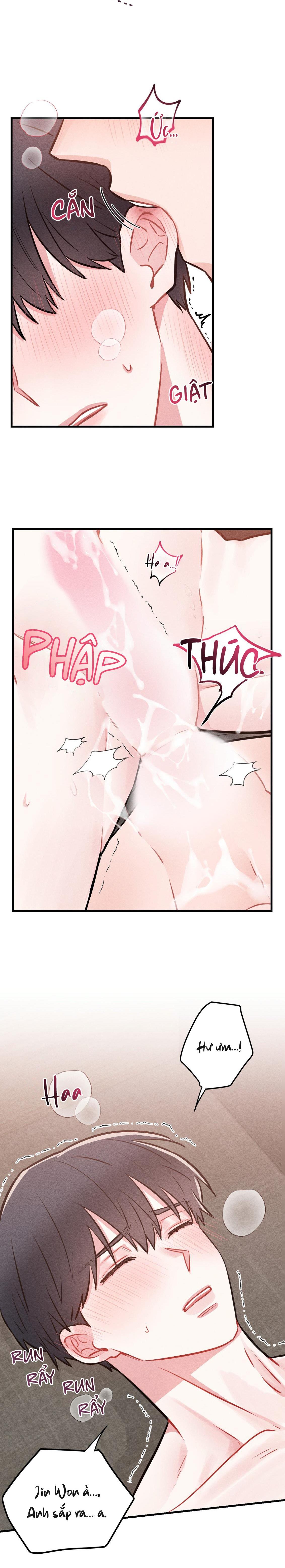 Đọc truyện TÔI HỌC ĐƯỢC CÁCH LÀM TÌNH SAU KHI XEM FANFIC - Chapter 6