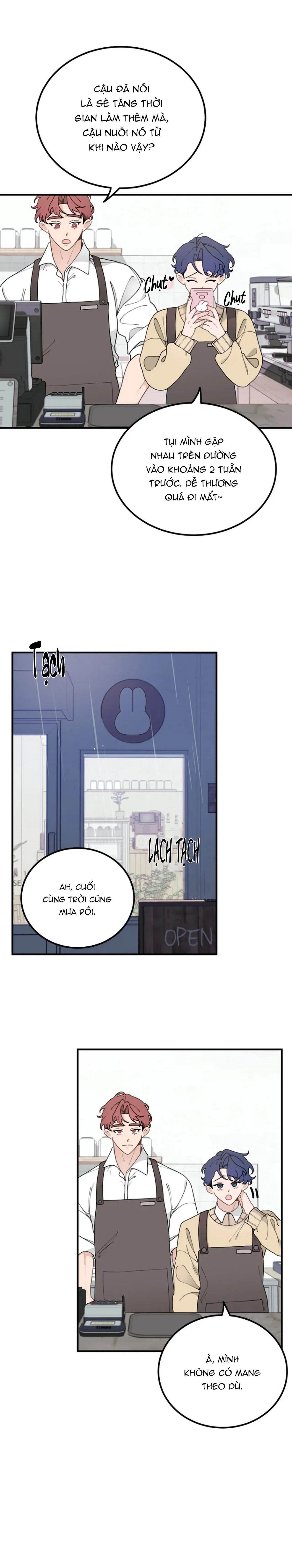 Đọc truyện Drop Hoàng Tử Thỏ Trên Cung Trăng - Chapter 13