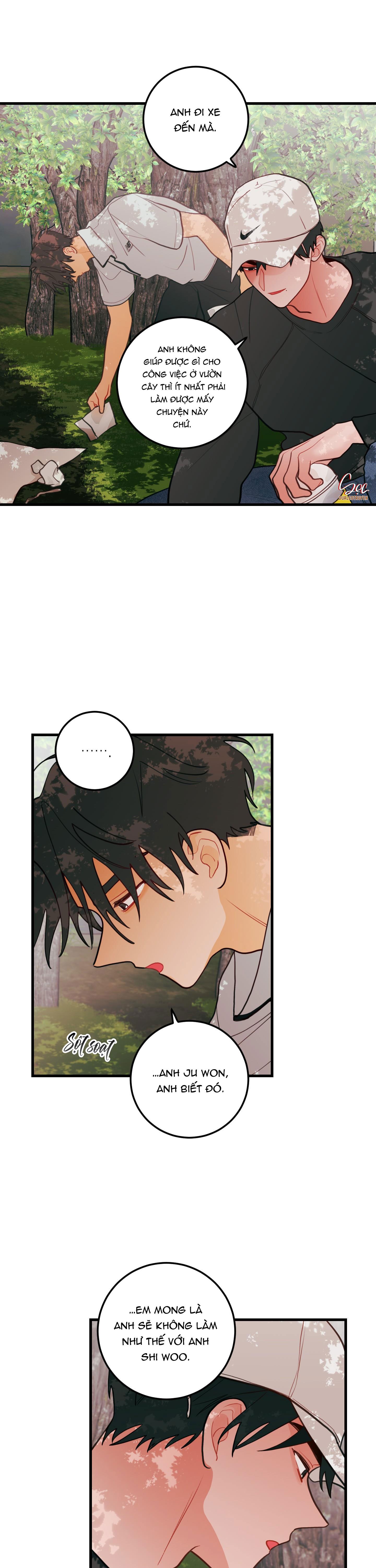 Đọc truyện CHUYỆN TÌNH HOA LÊ NỞ - Chapter 46