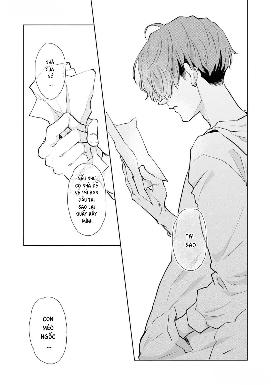 Đọc truyện Chú mèo đẹp trai muốn được Haruta nuôi dưỡng - Chapter 7