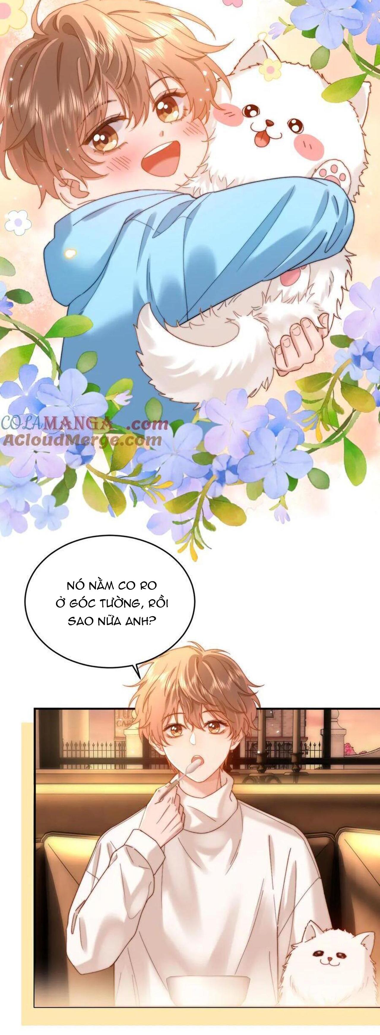 Đọc truyện Chất Dị Ứng Đáng Yêu - Chapter 52