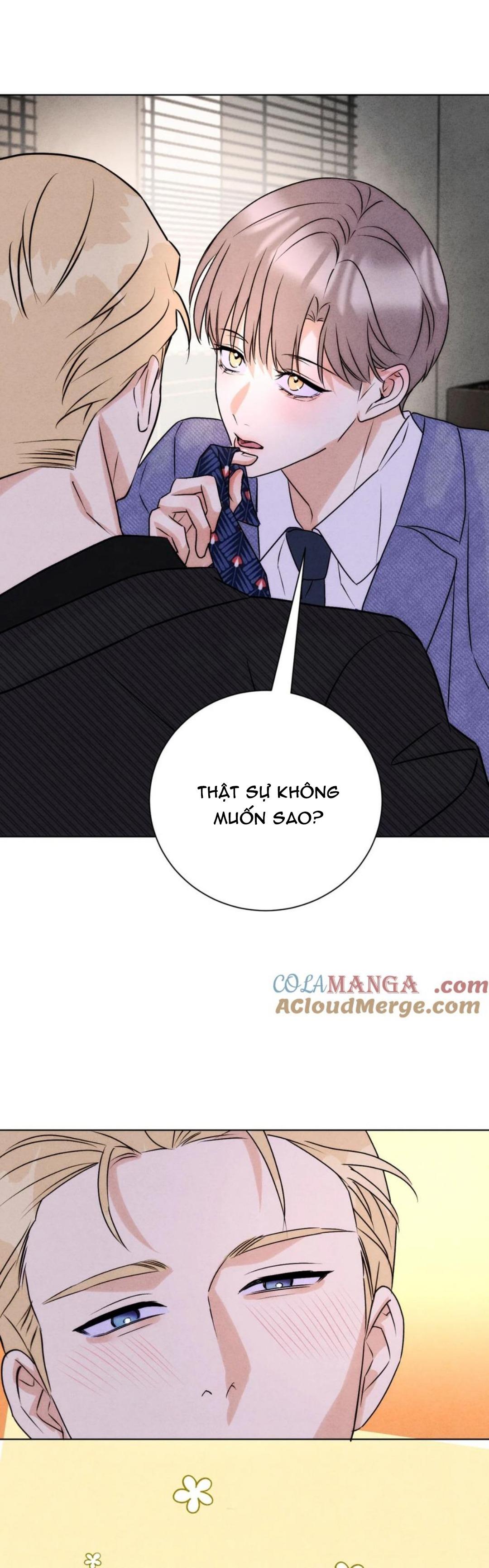 Đọc truyện Anh Trai Rẻ Tiền Của Tôi (END) - Chapter 51