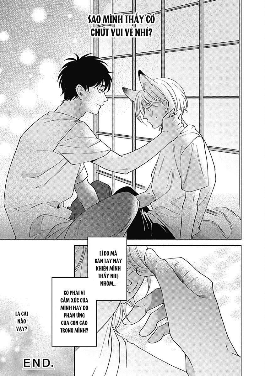 Đọc truyện Yakimochi wa Kitsuneiroo - Chapter 2