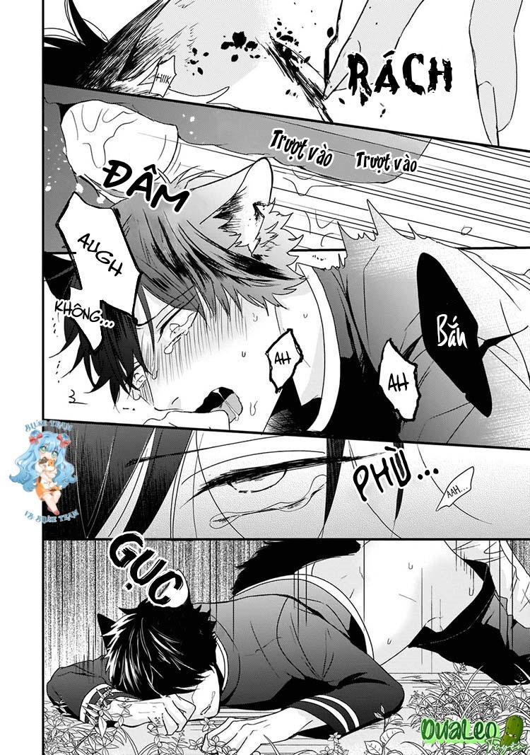 Đọc truyện Kỳ Phát Tình Của Dê và Sói - Chapter 4