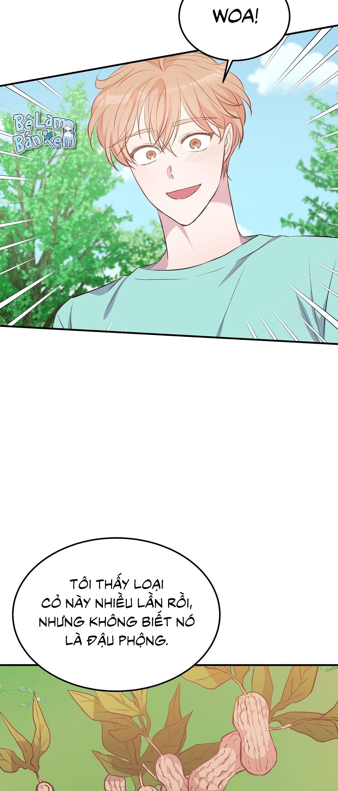 Đọc truyện CHUYỆN TÌNH ĐẢO HOANG - Chapter 21