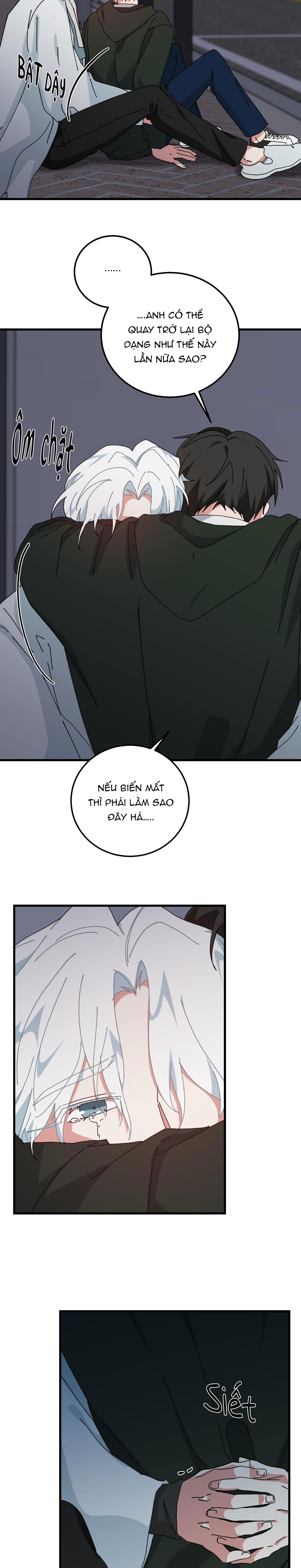Đọc truyện YÊU TÔI ĐI, THẦN HỘ MỆNH - Chapter 56