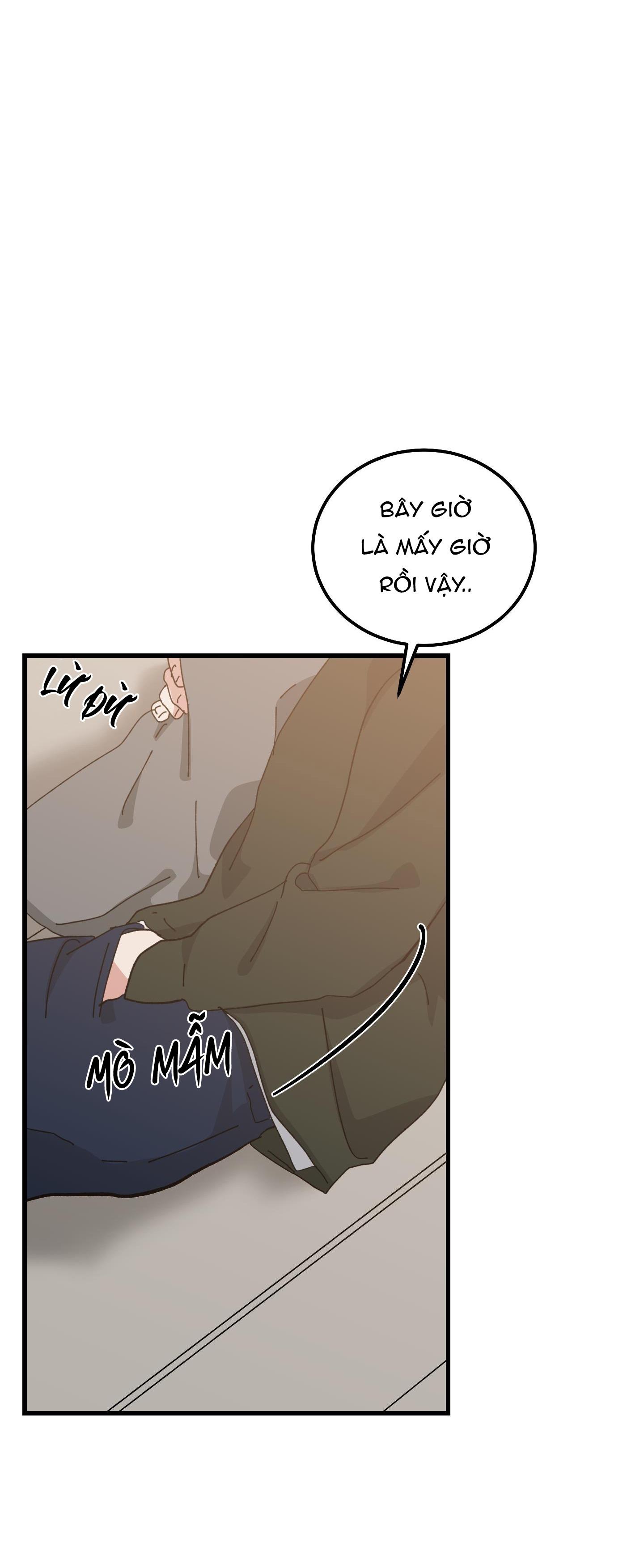 Đọc truyện YÊU TÔI ĐI, THẦN HỘ MỆNH - Chapter 50