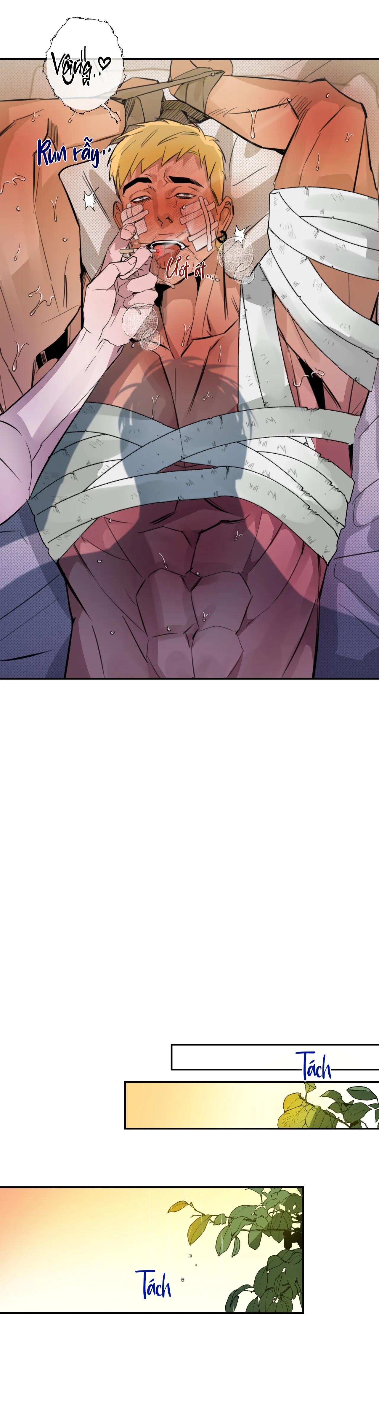 Đọc truyện [Hoàn] Country boy: Seriously, I adore you - Chapter 3