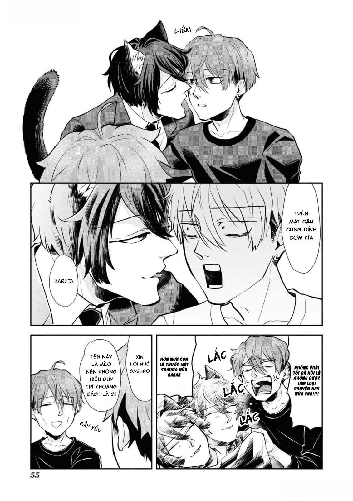 Đọc truyện Chú mèo đẹp trai muốn được Haruta nuôi dưỡng - Chapter 3
