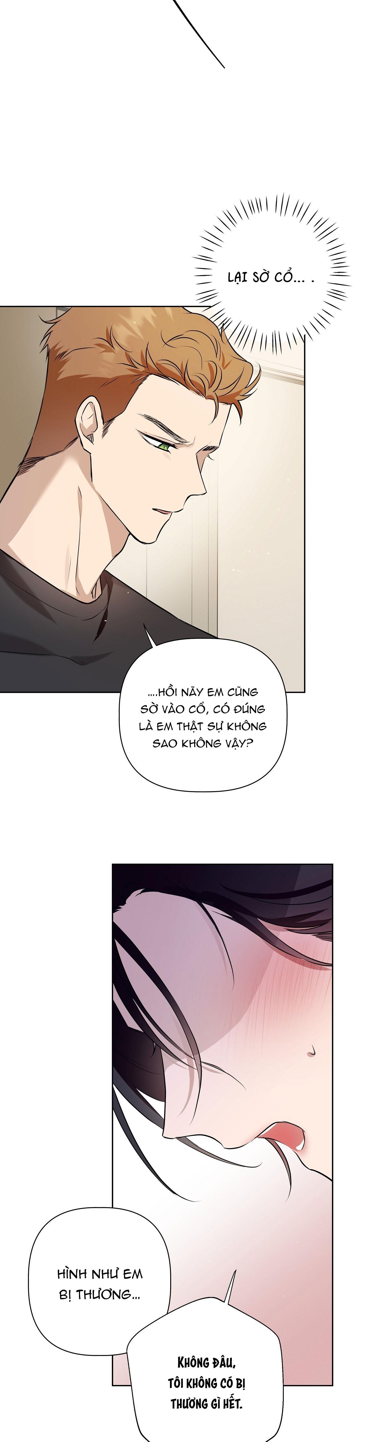 Đọc truyện OMEGA HOÀN HẢO CỦA TÔI - Chapter 5