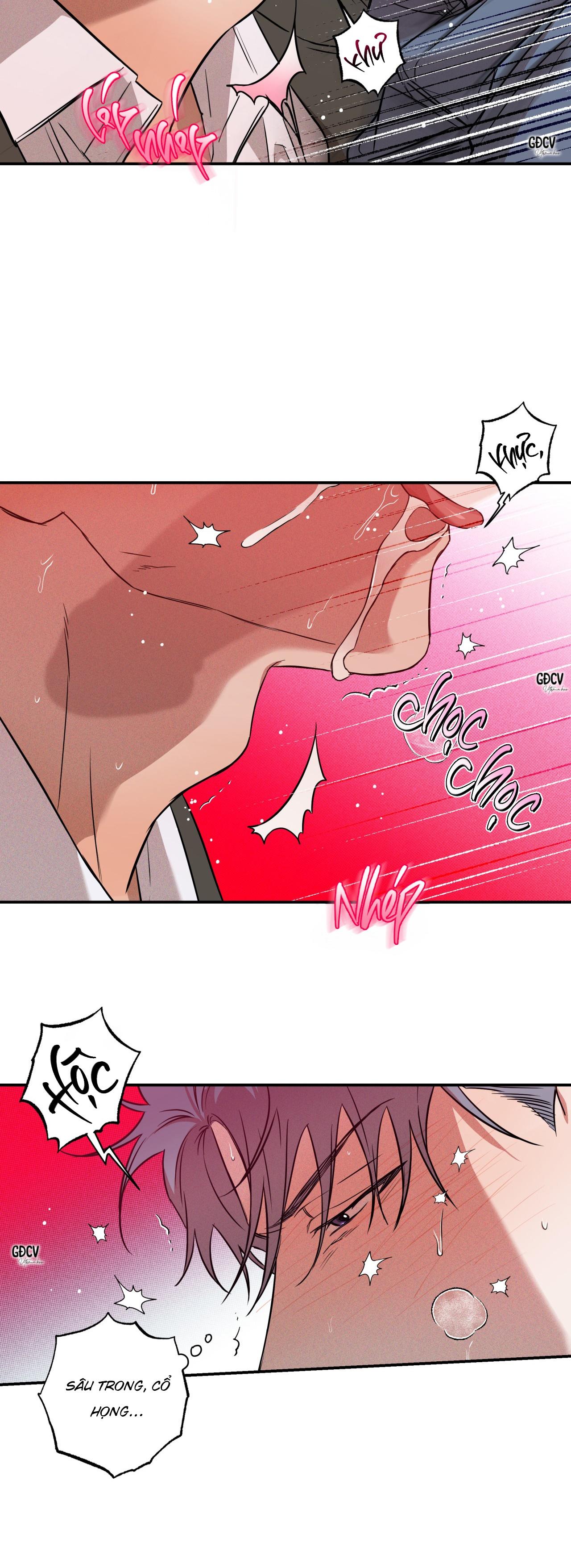 Đọc truyện ANH RỂ - Chapter 2