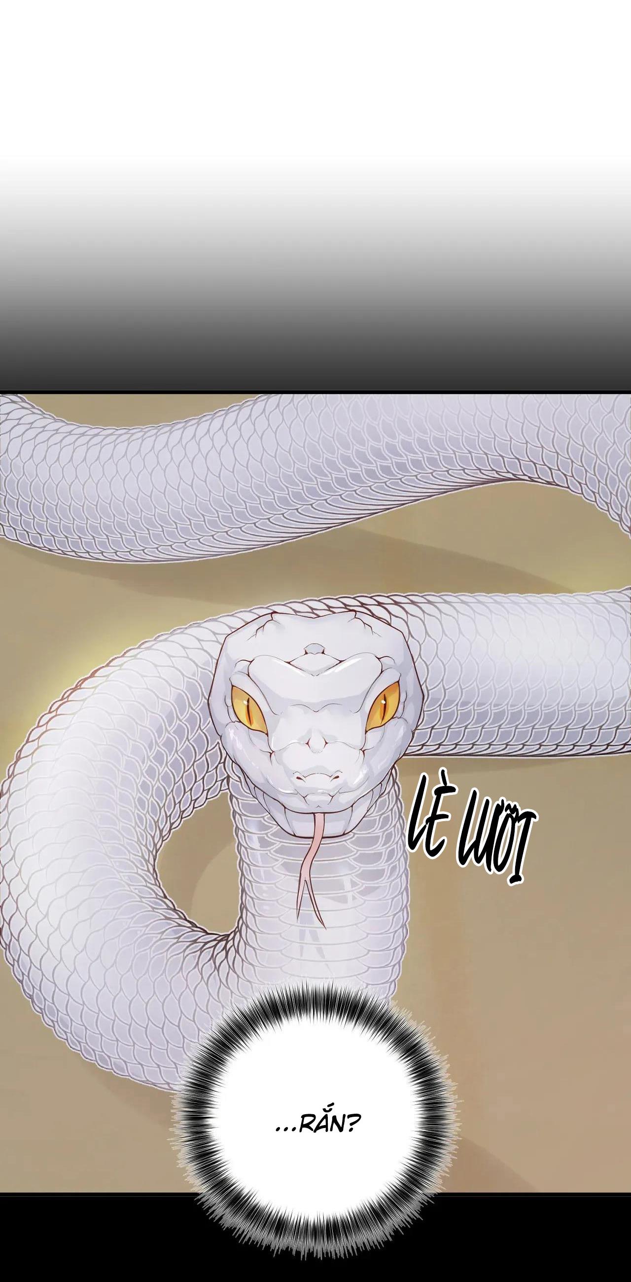 Đọc truyện Rắn Và Ân Nhân - Chapter 1