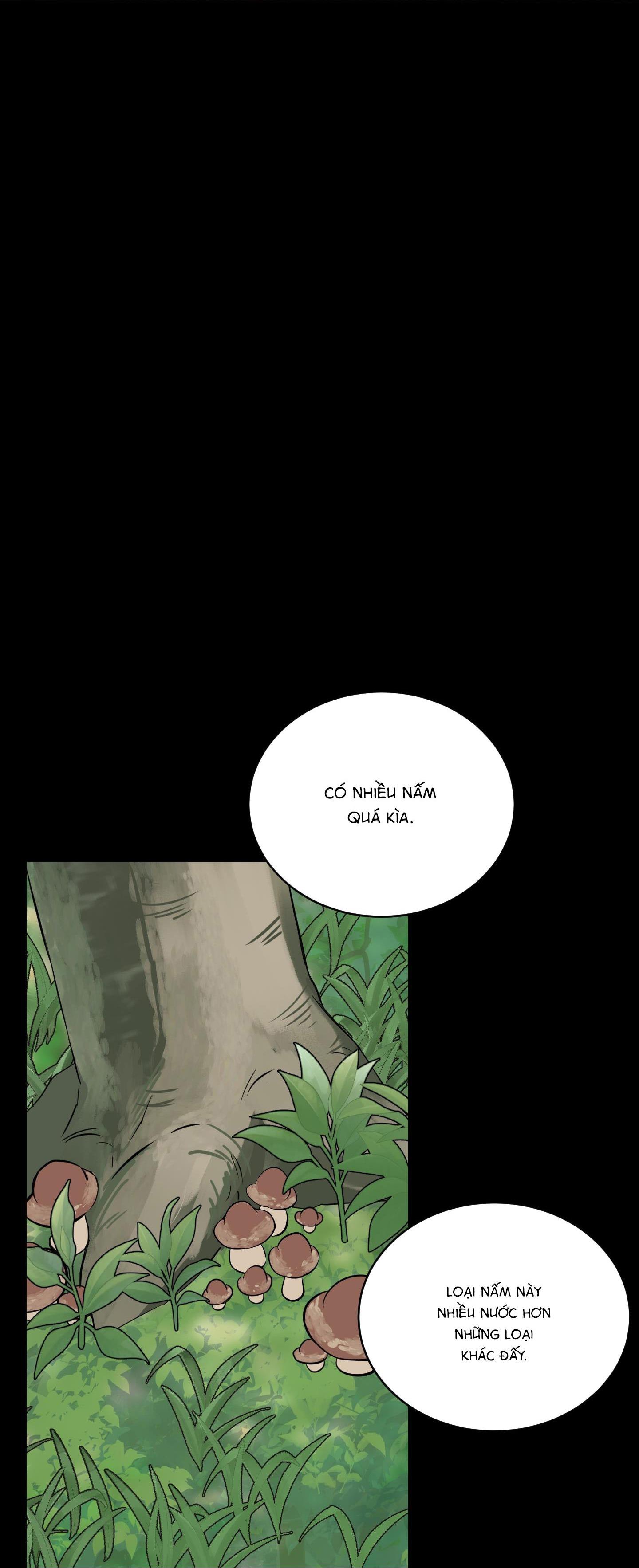 Đọc truyện Hoa Vô Danh - Chapter 3