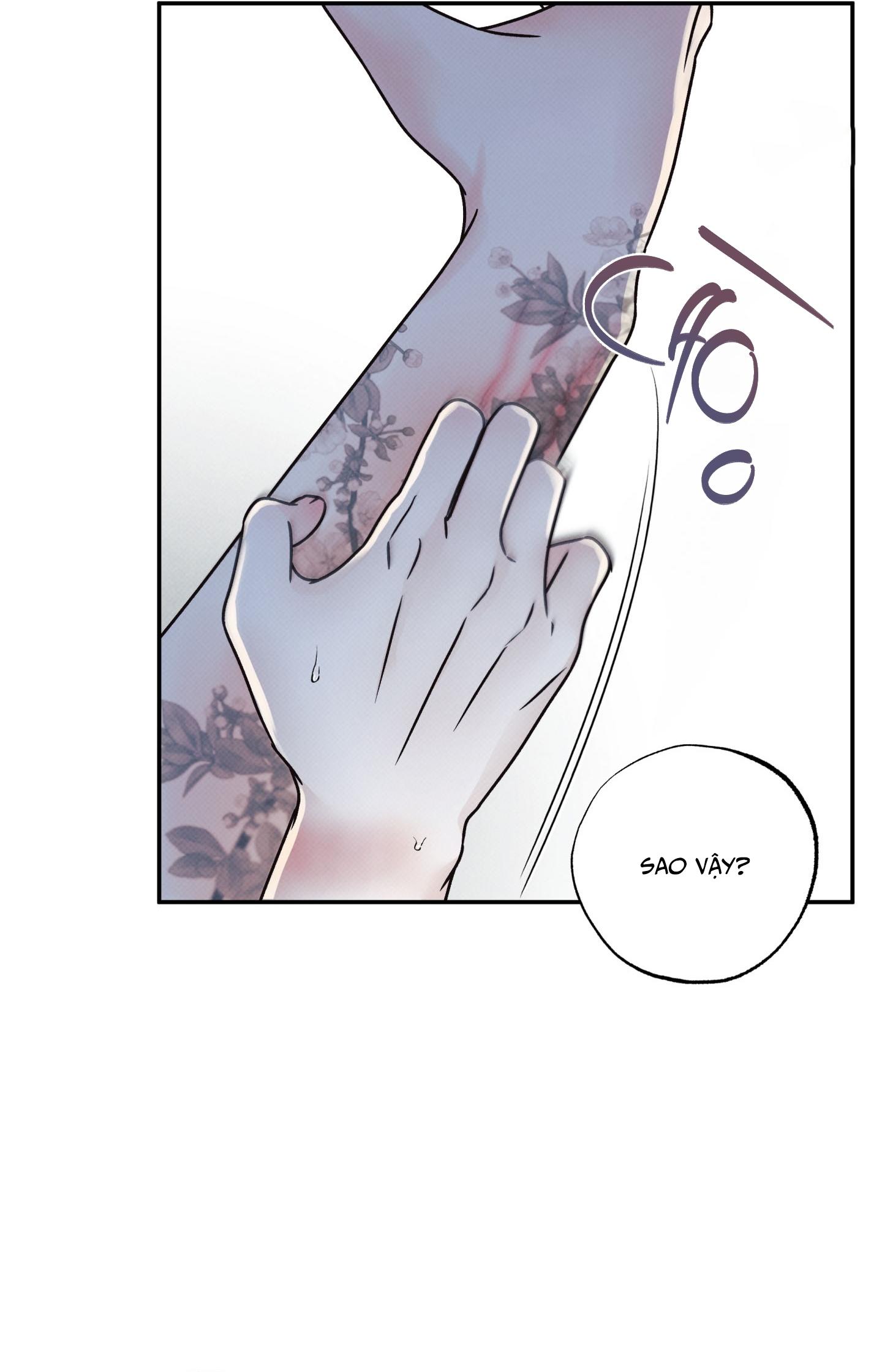 Đọc truyện  RANH GIỚI CỦA SỰ MÊ HOẶC - Chapter 1