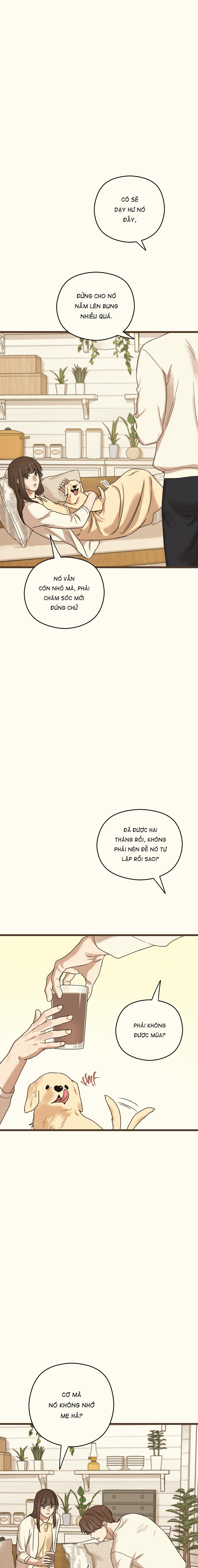 Đọc truyện TRÙNG PHÙNG - Chapter 27