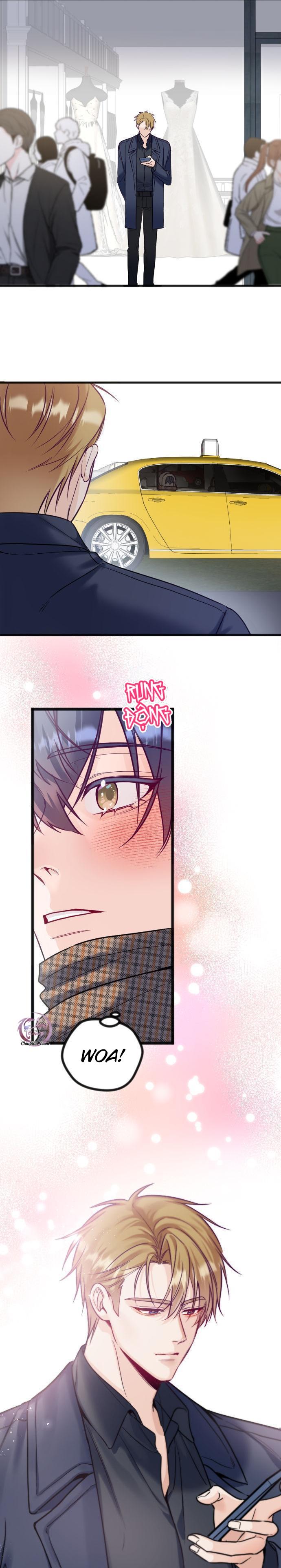 Đọc truyện Người Tình Thế Thân Của Alpha - Chapter 12