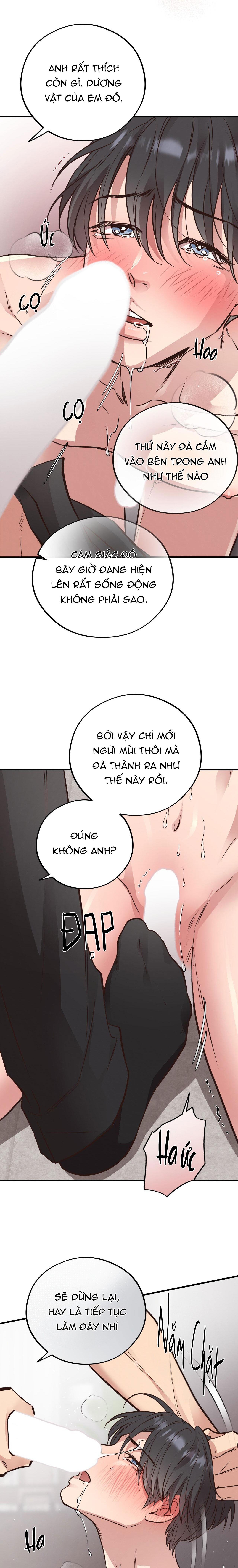 Đọc truyện HONEY BEAR - Chapter 41