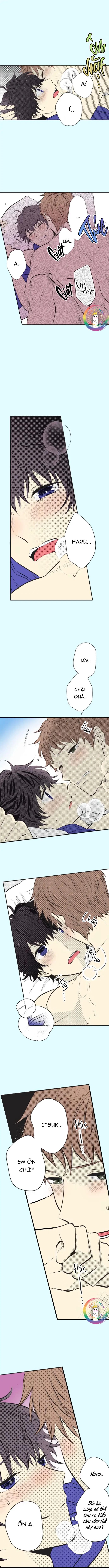 Đọc truyện Cây Nhỏ Và Mùa Xuân Thân Yêu - Chapter 36