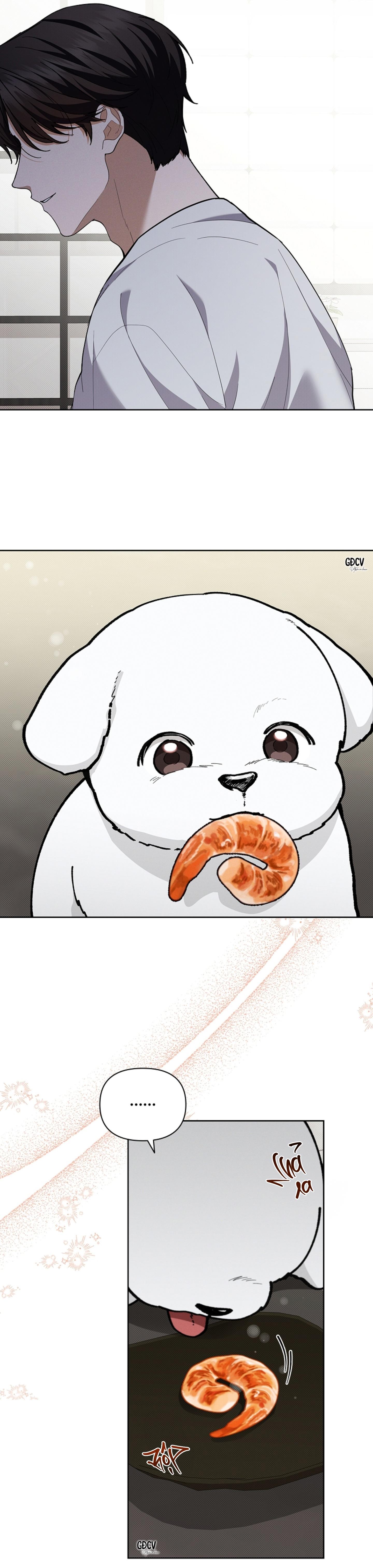 Đọc truyện ĐỪNG CHẠM VÀO CÚN CON CỦA TÔI - Chapter 10