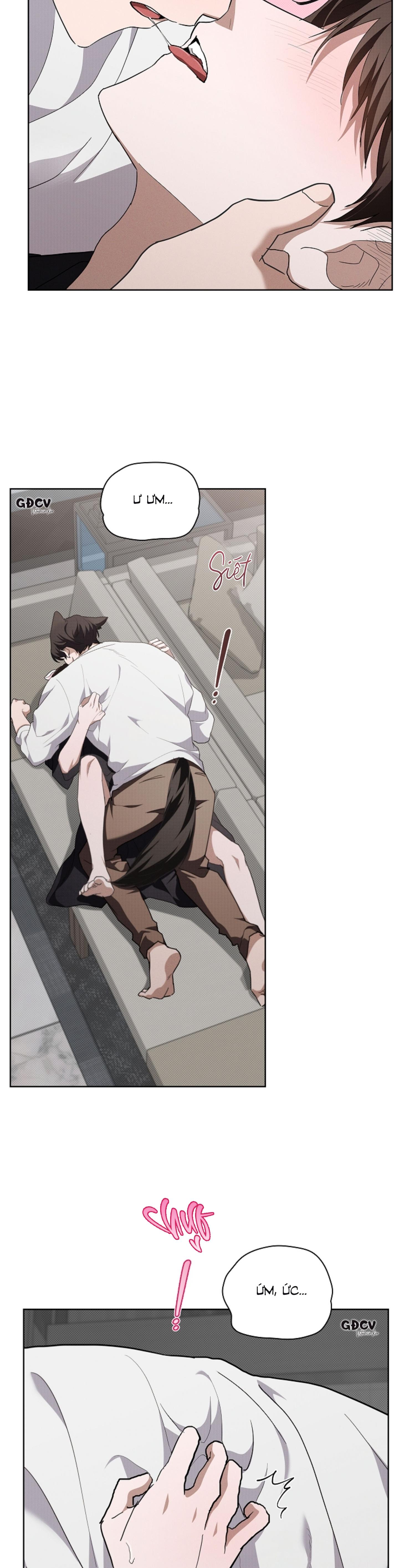 Đọc truyện ĐỪNG CHẠM VÀO CÚN CON CỦA TÔI - Chapter 22