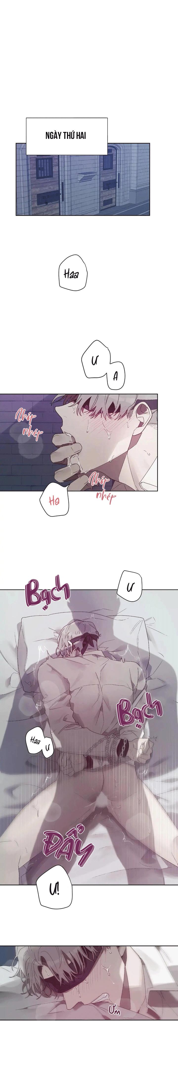 Đọc truyện TRÁI CẤM - Chapter 5