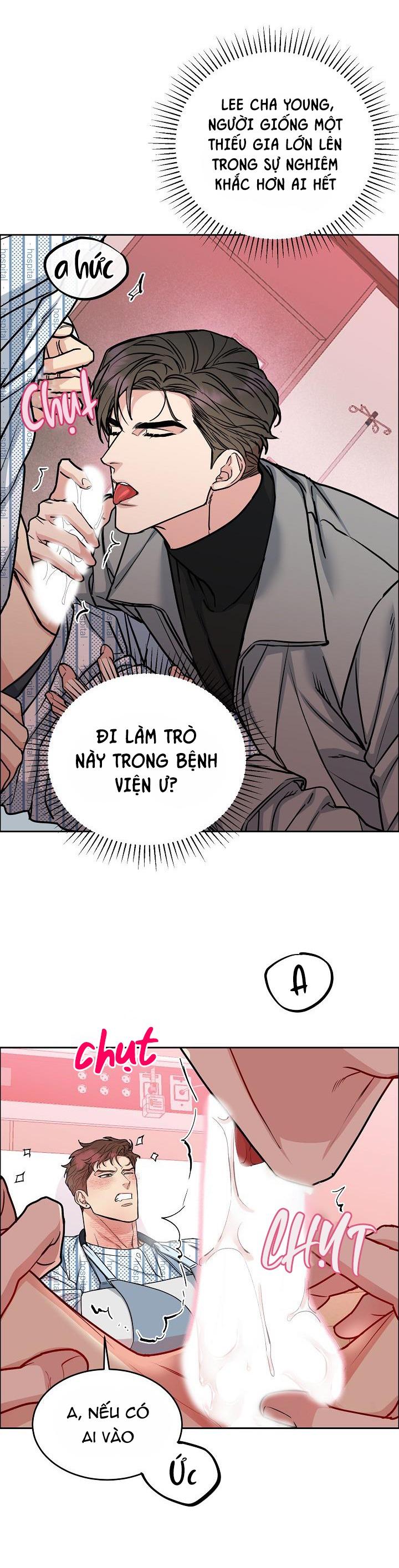 Đọc truyện CHÓ VÀ CHIM - Chapter 16